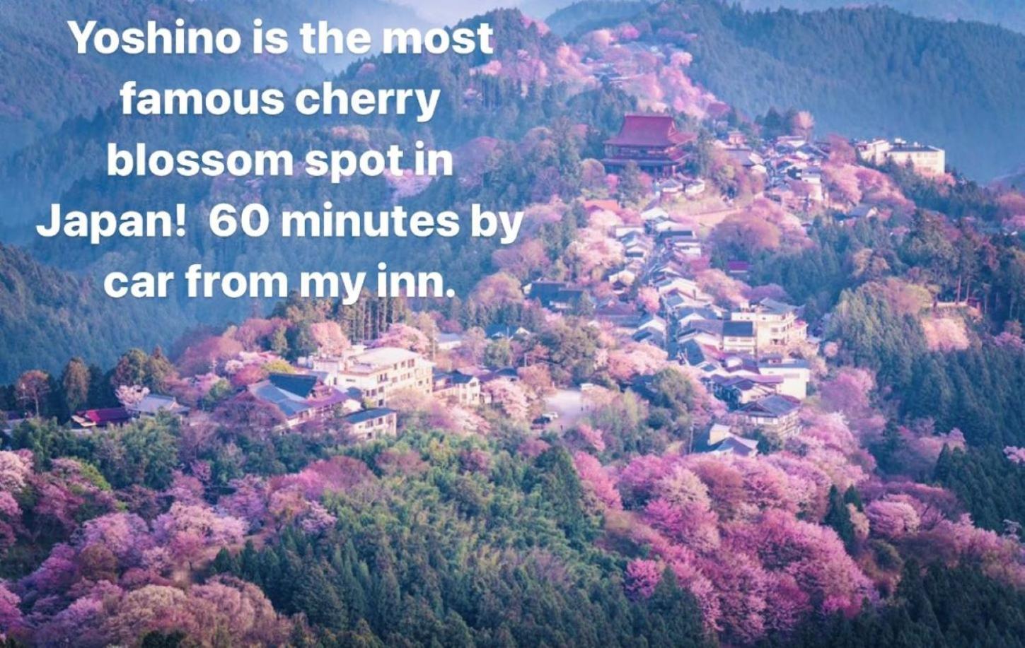 Inn Unkai No Sato No Yado Nosegawa Ngoại thất bức ảnh
