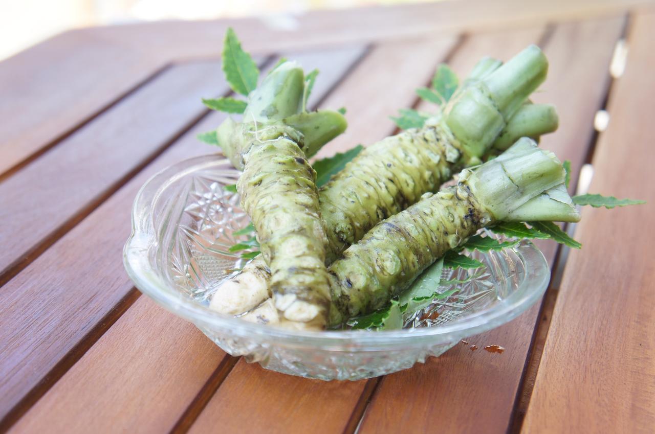 Inn Unkai No Sato No Yado Nosegawa Ngoại thất bức ảnh
